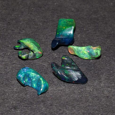 5 قطع من عظم العقيق الأسود الطبيعي من InfinityGemsArt، حجر عضوي، مزيج من الكريستالات والأحجار الكريمة المصقولة بألوان قوس قزح الناري، مستلزمات صناعة المجوهرات بنفسك، حجر طاقة شفاء الشاكرا، حرفة فنية للهدايا بنفسك in Kuwait