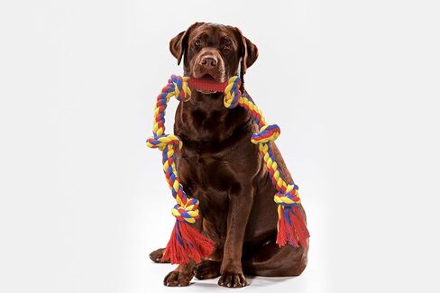 Ultra-Durable 48-inch Tug of War Rope Toy for Large/XL Dogs - Ideal for Interactive Play, Not for Chewing in Saudi Arabia