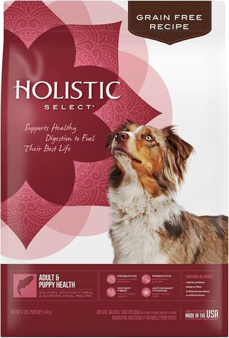 Holistic Select Natural Grain Free Dry Dog Food, Adult & Puppy Salmon, Anchovy & Sardine Recipe, 24-Pound Bag in Saudi Arabia
