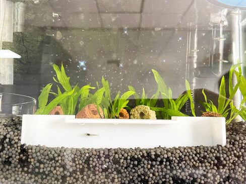 Aquarium Shrimp Tunnel Cave, Fish Tank Decorations, Betta Fish Tank Accessories, Set of 2 Aquarium Decorations (PETG-Black) in Saudi Arabia