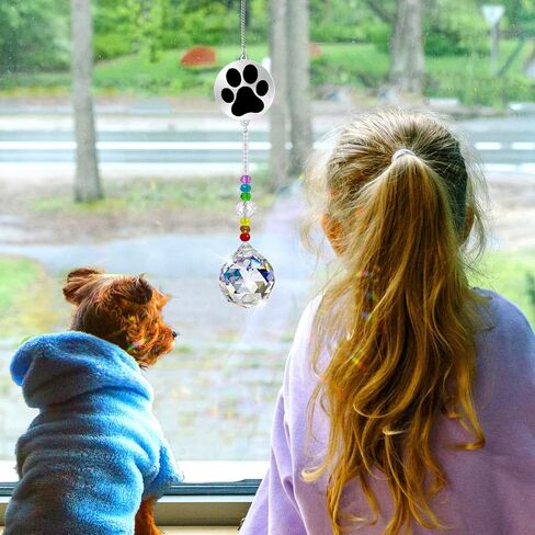 Dog Memorial Gifts for Loss of Dog, Pet Sympathy Gifts Crystal Window Memorial Suncatcher,Bereavement Gift Sun Catcher,Dog Remembrance Gift,Pet Passing Away Loss Gifts (D) in Saudi Arabia