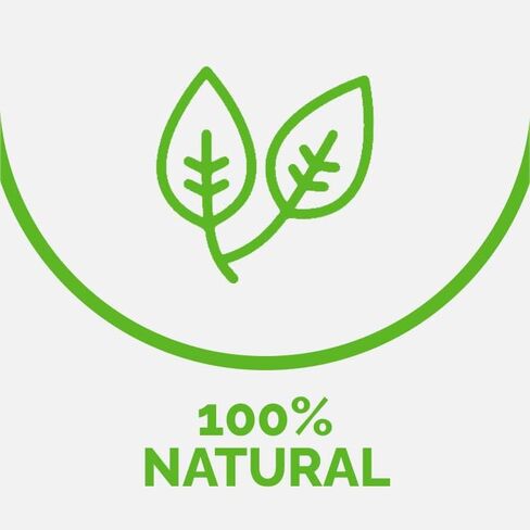 IN INSECT NUTRITION Cricket Flour High Protein 8.82 oz,, 65% Protein, Omega 3 and 6, Rich in Fiber and prebiotics, antioxidants and All Essential Amino acids in Saudi Arabia