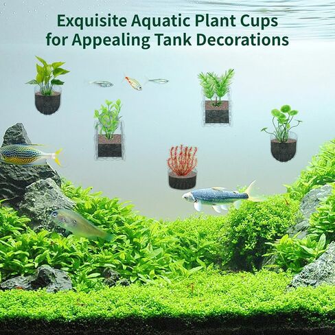 Aquatic Plant Cups with Hole -20 Pcs Transparent Aquarium Plant Holder,Acrylic Aquatic Plant Pot with Suction Cups,Fish Tank Plant Holder,Aquarium Decoration 3 Shapes in Saudi Arabia