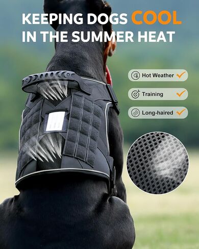 Pink Service Dog in Training Vest Harness for Medium Large Dogs, Reflective Adjustable Heavy Duty Padded Dog Harness, with Front Clip and Metal Buckles Do Not Pet for Training, Hiking in Saudi Arabia
