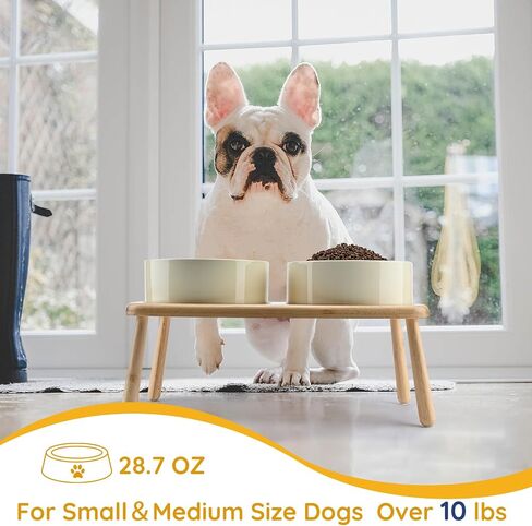 SPUNKYJUNKY Raised Dog Bowls Ceramic Dog Bowls Elevated with Non-Slip Wooden Stand Dog Food Water Bowls for Puppy Small Medium Dogs(Double 28OZ Bowls,Cream White) in Saudi Arabia