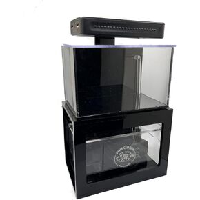 حوض السمك الصغير الجاهز للشعاب المرجانية بوزن 40 أونصة (أسود) | خزان أسماك المياه المالحة المكتبي الصغير مع ضوء LED، مستنقع، مضخة | المياه العذبة والمياه المالحة in Kuwait