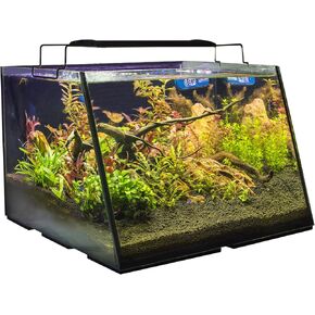 Lifegard Aquatics Full-View Aquarium with Built-in Back Filter- Patented Angle Design - EMPTY - No Accessories - 5 Gallons