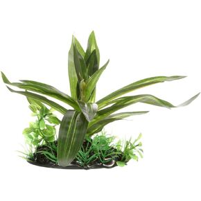 Fluval Giant Sagittaria Plant