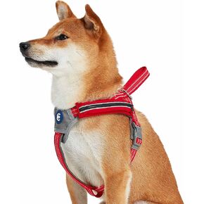 Blueberry Pet Essentials Reflective Back to Basics Dog Harness Vest with Treat Pocket, Sky Blue, Small, Adjustable Harnesses for Dogs
