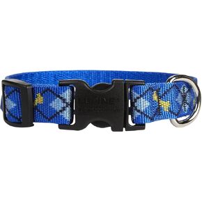 LupinePet Originals 3/4" Dapper Dog 13-22" Adjustable Collar for Medium and Larger Dogs