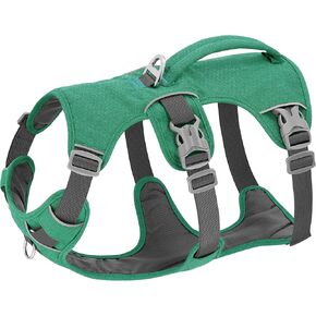 Beirui Escape Proof Dog Harness,Soft Padded Dog Vest No Pull with Lift Handle,Durable Reflective Waterproof Full Body Pet Harness for Small Medium Dogs Walking Training(Green,Chest 15-27")