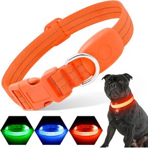 Light Up Dog Collars Rechargeable, Reflective LED Glow Dark Dog Collar for Small Medium Large Dogs, Adjustable Pet Dog Lights for Safe Night Walk-Green, Medium