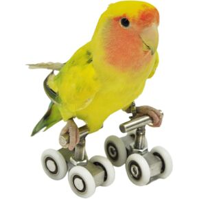 Bird Toy Intelligent Puzzle Training-Roller Skates for Small Medium Pet-Perfect for African Grey Cockatoo Eclectus Conures Eclectus Parrot Macaw Cockatiel