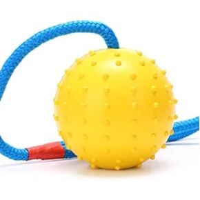Working Dog Fetch Ball with Rope, Dog Training Ball, Exercise Rubber Ball for Dogs (Orange, 7cm/3in)