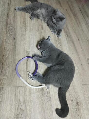 Sisal Rope Cat Toys Interactive,Catnip Toys for Cats, 5-Piece Interactive Cat Cotton Rope Toys, Chew Toys for Cats,Interactive Cat Kicker Toys for Indoor Cats,Best cat Toys for Bored Indoor Cats in Saudi Arabia