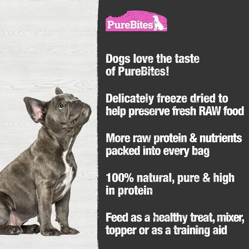 PureBites Salmon Freeze Dried Dog Treats, 1 Ingredient, Made in USA, 2.47oz in Saudi Arabia