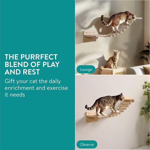 Navaris Wall Mounted Cat Bridge - Rope Bridge Walkway with 2 Large Connector Cat Shelves - Cat Accessories for Indoor Cats - Pine Wall Furniture Cat Shelf Steps in Saudi Arabia