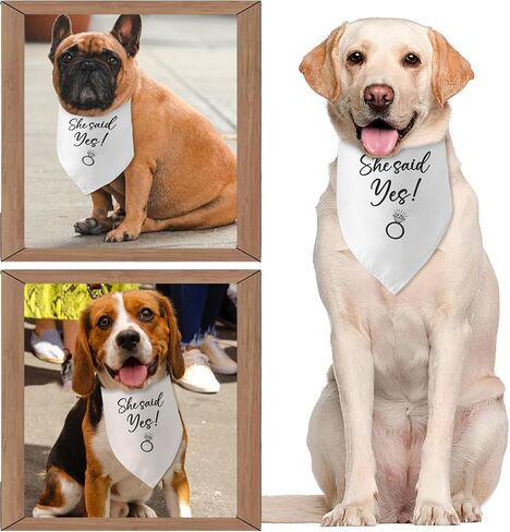قالت نعم الكلب باندانا هدايا الخطوبة للأزواج إعلان صور الزفاف الدعامة وشاح الحيوانات الأليفة اكسسوارات لمحبي الكلاب الأليفة الهدايا in Kuwait