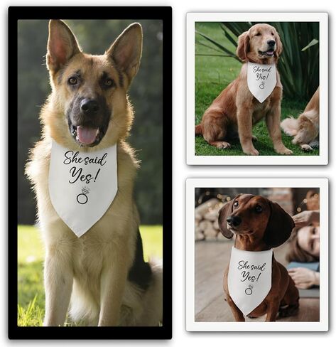 قالت نعم الكلب باندانا هدايا الخطوبة للأزواج إعلان صور الزفاف الدعامة وشاح الحيوانات الأليفة اكسسوارات لمحبي الكلاب الأليفة الهدايا in Kuwait