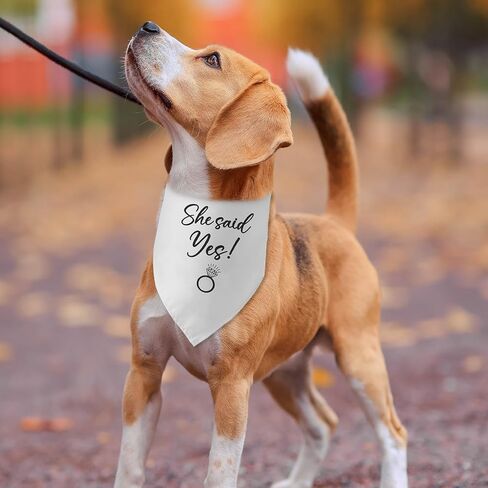 قالت نعم الكلب باندانا هدايا الخطوبة للأزواج إعلان صور الزفاف الدعامة وشاح الحيوانات الأليفة اكسسوارات لمحبي الكلاب الأليفة الهدايا in Kuwait