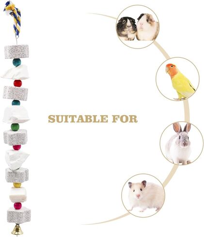 عبوتان من لعبة مضغ الدجاج الكبيرة، منقار الفرخ يطحن حجر الكالسيوم مع أجراس، ملحقات قفص الدجاج، ألعاب قفص للكوكاتيل والببغاء والببغاء والفئران والهامستر والأرنب الرمادي الأفريقي in Kuwait