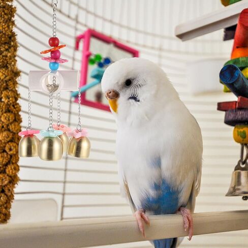 Beavorty Parrot Chewing Toy Bird Bell Toy Bird Cage Bell Toy Bird Bells Toy Developmental Toys Chew Toys Hanging Parrot Toys Hanging Bird Toy Puzzle Toy Stainless Steel Spoon Pet in Saudi Arabia