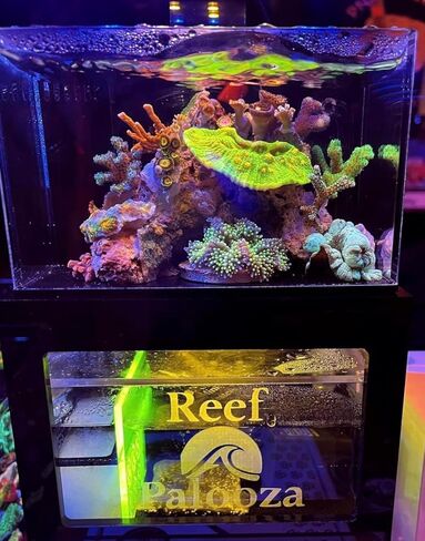 40 oz (Black) Micro Reef Ready Aquarium | Small Desktop Saltwater Fish Tank with LED Light, Sump, Pump | Freshwater & Saltwater in Saudi Arabia