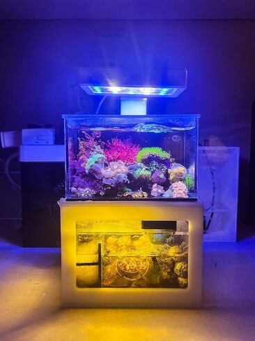 40 oz (Black) Micro Reef Ready Aquarium | Small Desktop Saltwater Fish Tank with LED Light, Sump, Pump | Freshwater & Saltwater in Saudi Arabia