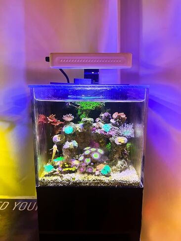 40 oz (Black) Micro Reef Ready Aquarium | Small Desktop Saltwater Fish Tank with LED Light, Sump, Pump | Freshwater & Saltwater in Saudi Arabia