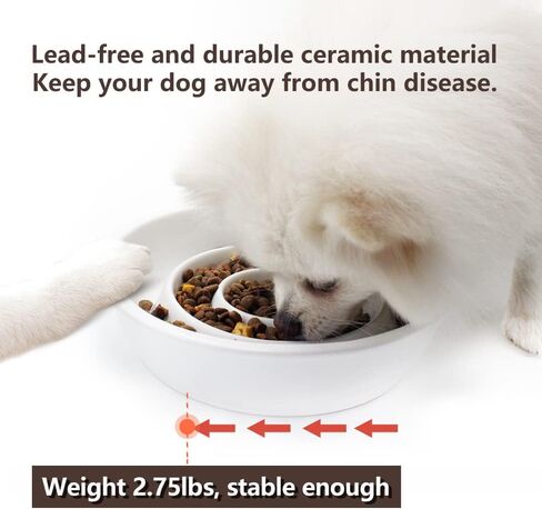 GH Ceramic Slow Feeder Dog Bowl, 3 Cups, 2 Pet Flying Discs Included - Black in Saudi Arabia