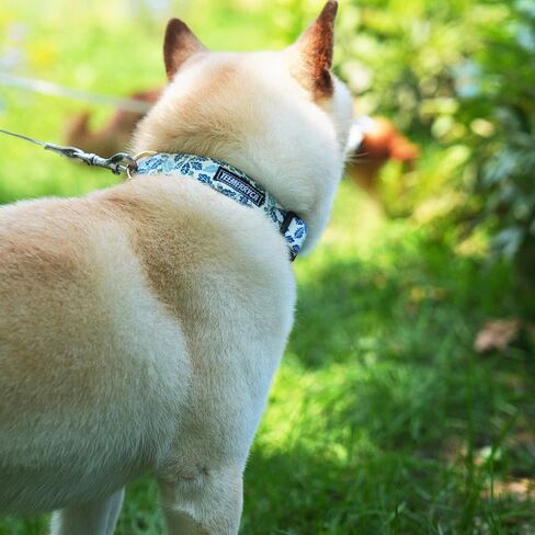 TEEMERRYCA Comfortable Cotton Dog Collars Boy Blue Blueberry Pattern Summer Pet Collar with a Fruit Charm for Male Small Medium Large Dogs, M in Saudi Arabia