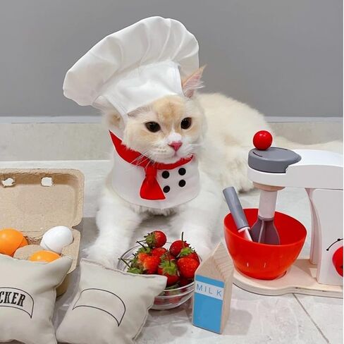 Pet Chef Hat - Adjustable Pet Cooking Chef Cap for Cats Dogs Chef Cloak Shirt Costume Set Pet Halloween Costume Outfit Prop Funny Chef Style Pet Headwear Pet Clothes Apparel Accessories (Small,White) in Saudi Arabia