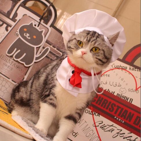 Pet Chef Hat - Adjustable Pet Cooking Chef Cap for Cats Dogs Chef Cloak Shirt Costume Set Pet Halloween Costume Outfit Prop Funny Chef Style Pet Headwear Pet Clothes Apparel Accessories (Small,White) in Saudi Arabia