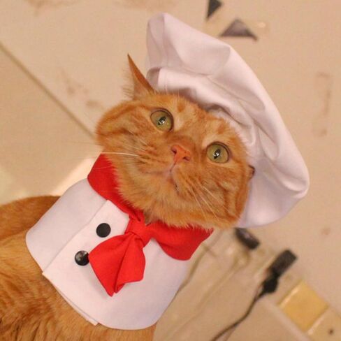 Pet Chef Hat - Adjustable Pet Cooking Chef Cap for Cats Dogs Chef Cloak Shirt Costume Set Pet Halloween Costume Outfit Prop Funny Chef Style Pet Headwear Pet Clothes Apparel Accessories (Small,White) in Saudi Arabia