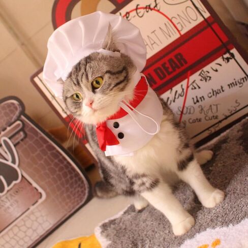Pet Chef Hat - Adjustable Pet Cooking Chef Cap for Cats Dogs Chef Cloak Shirt Costume Set Pet Halloween Costume Outfit Prop Funny Chef Style Pet Headwear Pet Clothes Apparel Accessories (Small,White) in Saudi Arabia