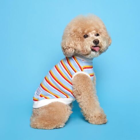 FLOT Designer Dog Sleeveless T-Shirt Premium Materials Tailored Fit Designed and Made in Korea (Sky) XX-Large in Saudi Arabia