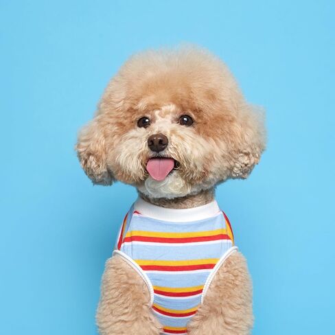 FLOT Designer Dog Sleeveless T-Shirt Premium Materials Tailored Fit Designed and Made in Korea (Sky) XX-Large in Saudi Arabia