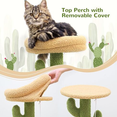 F33 برج قط صغير، 33 بوصة شجرة قطة لطيفة شجرة صبار صغيرة للقطط الداخلية برج قطط مع عمود خدش، جثم علوي مبطن، شقة مريحة، منصة قطيفة كبيرة وكرة معلقة in Kuwait