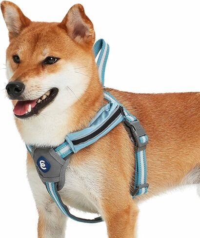 سترة لحزام الكلاب من Blueberry Pet Essentials عاكسة للعودة إلى الأساسيات مع جيب للمكافآت، لون أزرق سماوي، أحزمة صغيرة قابلة للتعديل للكلاب in Saudi Arabia