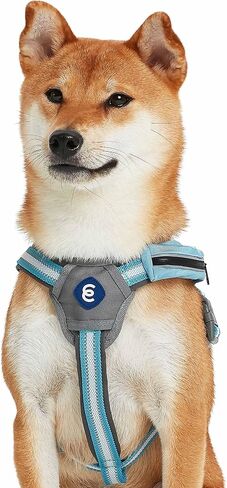 سترة لحزام الكلاب من Blueberry Pet Essentials عاكسة للعودة إلى الأساسيات مع جيب للمكافآت، لون أزرق سماوي، أحزمة صغيرة قابلة للتعديل للكلاب in Saudi Arabia