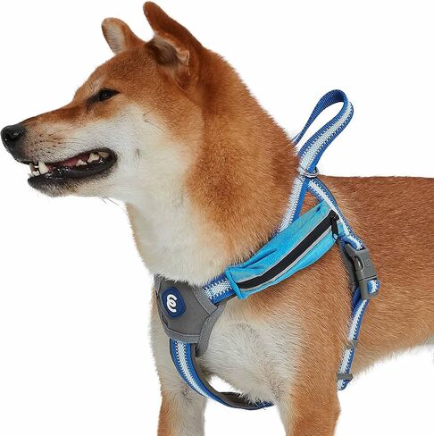 سترة لحزام الكلاب من Blueberry Pet Essentials عاكسة للعودة إلى الأساسيات مع جيب للمكافآت، لون أزرق سماوي، أحزمة صغيرة قابلة للتعديل للكلاب in Saudi Arabia