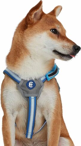 سترة لحزام الكلاب من Blueberry Pet Essentials عاكسة للعودة إلى الأساسيات مع جيب للمكافآت، لون أزرق سماوي، أحزمة صغيرة قابلة للتعديل للكلاب in Saudi Arabia