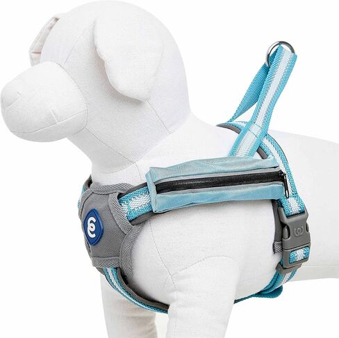 سترة لحزام الكلاب من Blueberry Pet Essentials عاكسة للعودة إلى الأساسيات مع جيب للمكافآت، لون أزرق سماوي، أحزمة صغيرة قابلة للتعديل للكلاب in Saudi Arabia
