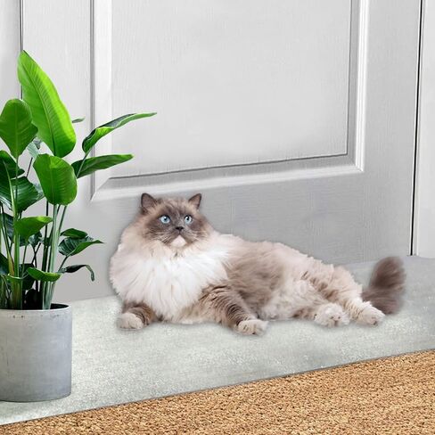 2 قطعة 5.2 قدم × 12 بوصة واقي السجاد من خدش القطط يمنع السجاد من الخدش والتمزق عند المدخل، حصيرة حماية من الخدش للحيوانات الأليفة غير قابلة للانزلاق، سدادة خدش السجاد in Kuwait