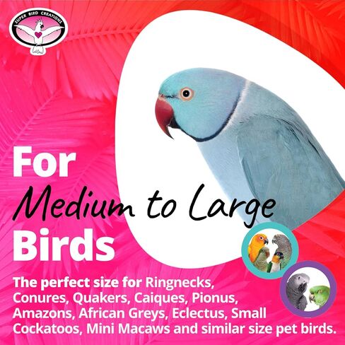 Super Bird Creations SB1157 Bamboo Bridge Bird Toy for Ringnecks, Conures, Quakers, Caiques, Pionus, Senegals, Amazons, African Greys, Eclectus - Bamboo Steps - Medium/Large Bird Size, 25 x 5.5 in Kuwait