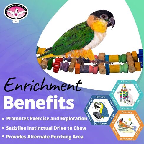 Super Bird Creations SB1157 Bamboo Bridge Bird Toy for Ringnecks, Conures, Quakers, Caiques, Pionus, Senegals, Amazons, African Greys, Eclectus - Bamboo Steps - Medium/Large Bird Size, 25 x 5.5 in Kuwait