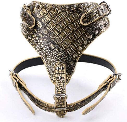 Spiked Studded Leather Dog Harness Pit Bull Mastiff Boxer (Gold) in Saudi Arabia