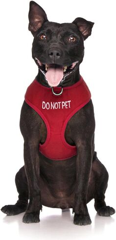 Limited DO NOT PET Red Color Coded Non-Pull Front and Back D Ring Padded and Waterproof Vest Dog Harness Prevents Accidents by Warning Others of Your Dog in Advance (S) in Kuwait