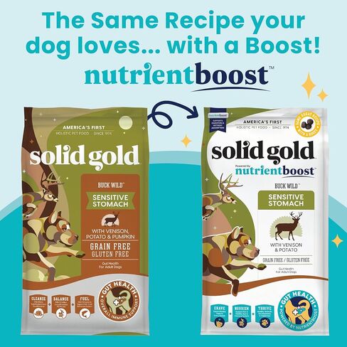 Solid Gold Dry Dog Food for Adult & Senior Dogs - Made w/Real Venison, Potato, & Pumpkin - Nutrientboost Buck Wild Sensitive Stomach Dog Food for Protein Sensitivities & Gut Health - 22 LB in Saudi Arabia