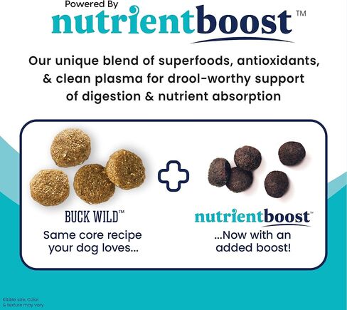 Solid Gold Dry Dog Food for Adult & Senior Dogs - Made w/Real Venison, Potato, & Pumpkin - Nutrientboost Buck Wild Sensitive Stomach Dog Food for Protein Sensitivities & Gut Health - 22 LB in Saudi Arabia